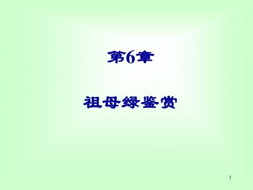 7祖母绿鉴赏-CHAPTER6
