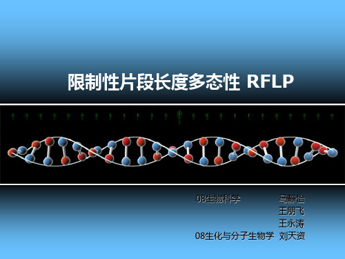 RFLP限制性片段长度多态性