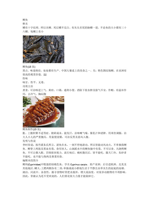 鲤鱼-百科