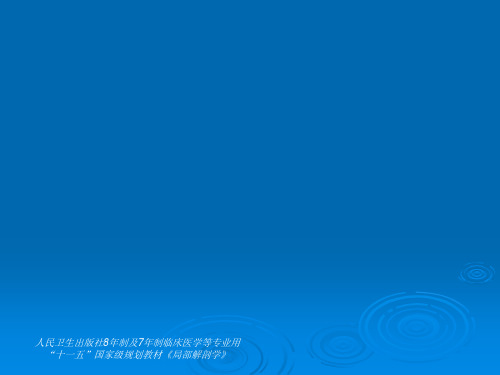 胸导管的解剖 ppt课件