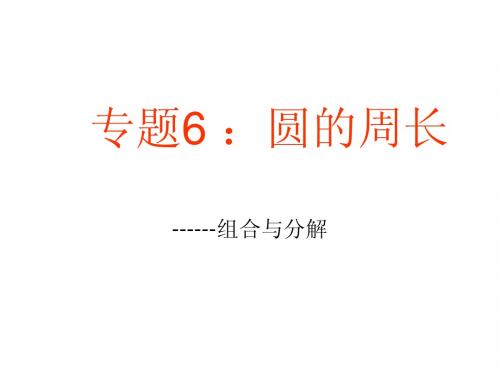 专题9：圆的周长及应用8.7
