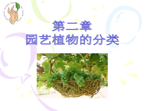第二章 园艺植物的分类