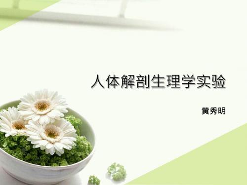 实验一 基本组织2