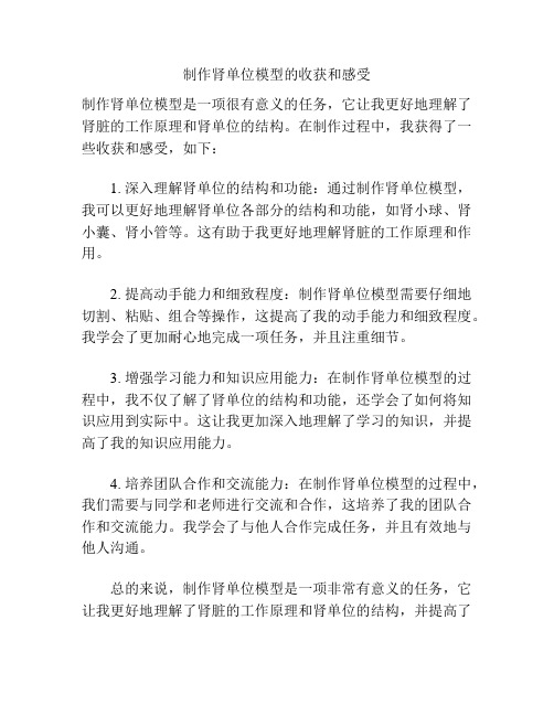 制作肾单位模型的收获和感受