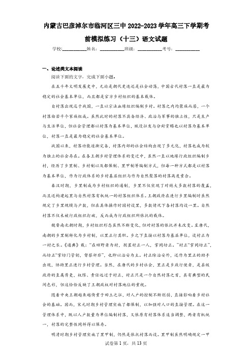 内蒙古巴彦淖尔市临河区三中2022-2023学年高三下学期考前模拟练习(十三)语文试题(含解析)