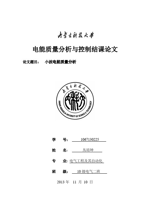 电能质量分析与控制结课论文