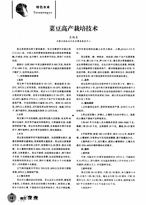 菜豆高产栽培技术