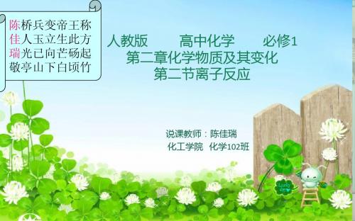 离子反应说课ppt~95C15