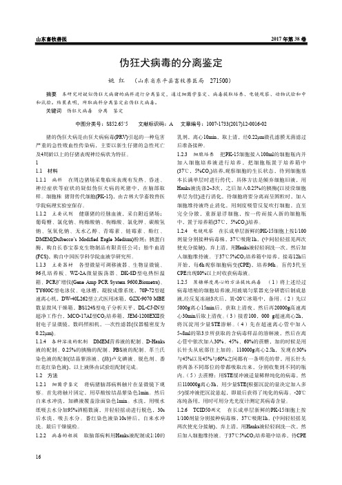 伪狂犬病毒的分离鉴定