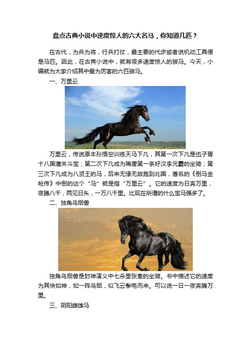 盘点古典小说中速度惊人的六大名马，你知道几匹？