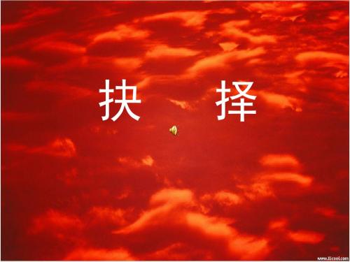 鹰王重生