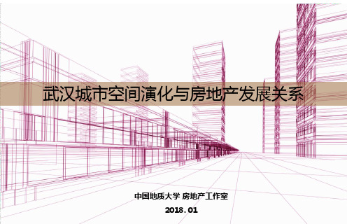 武汉城市空间演化与房地产发展关系(简版)
