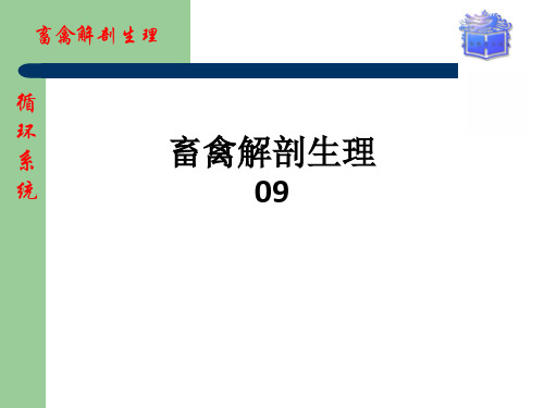 [医学]畜禽解剖生理09