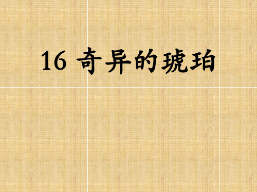 《16奇异的琥珀》(李)