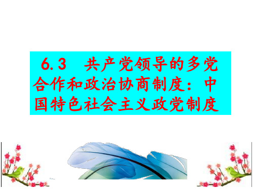 高中政治必修课件：中国特色社会主义政党制度