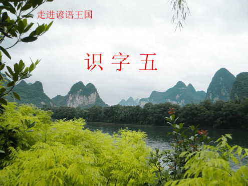 识字五课件