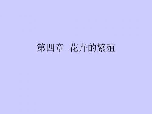 第四章  花卉的繁殖