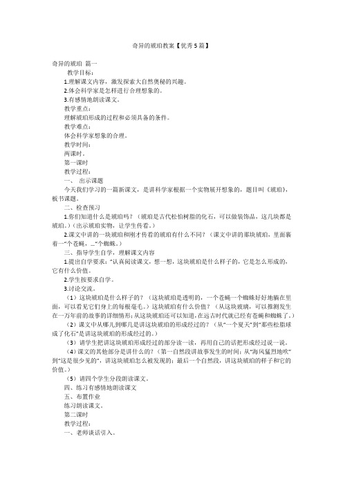 奇异的琥珀教案【优秀5篇】