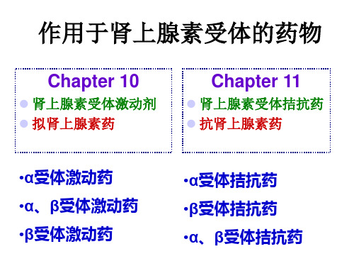 药理学 肾上腺素激动药和阻断药