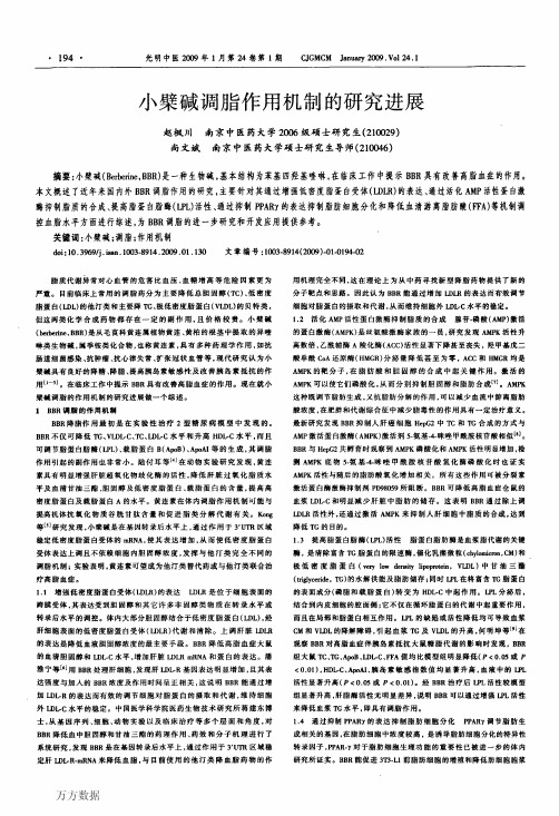 小檗碱调脂作用机制的研究进展