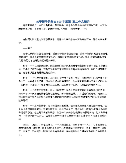 关于影子的作文800字五篇_高二作文精选