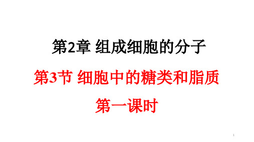 2.3.1 细胞中的糖类和脂质 课件 【新教材】人教版高中生物必修一(共21张PPT)