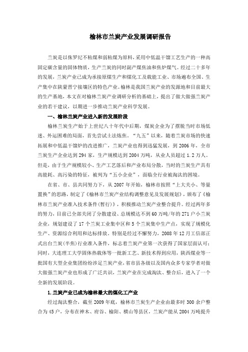 榆林市兰炭产业发展调研报告