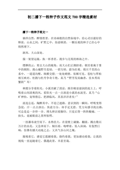 初二播下一粒种子作文范文700字精选素材
