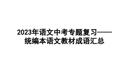 2023年语文中考专题复习—— 成语汇总  课件(共39张PPT)