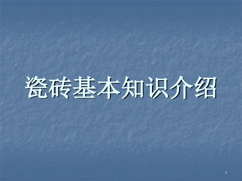 瓷砖基本知识介绍ppt课件