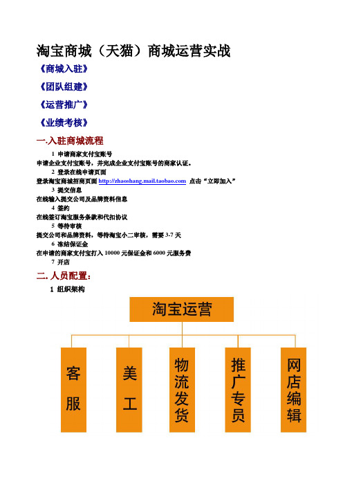 淘宝店铺(天猫)商城运营实战宝典