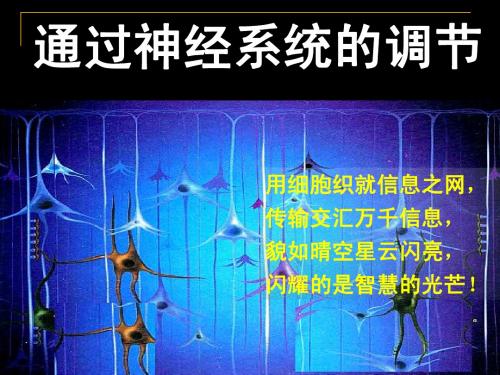 shiyong第一节通过神经系统的调节