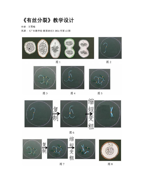 《有丝分裂》教学设计