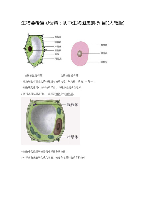 生物会考复习资料：初中生物图集(附题目)(人教版)