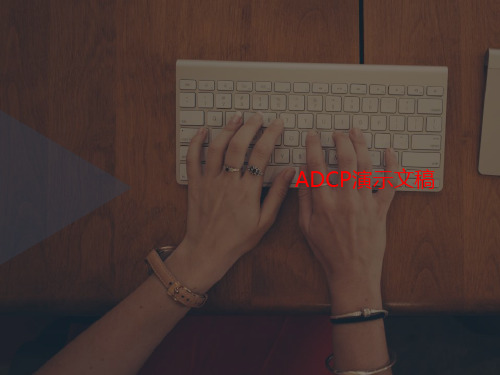 ADC讲义P演示文稿