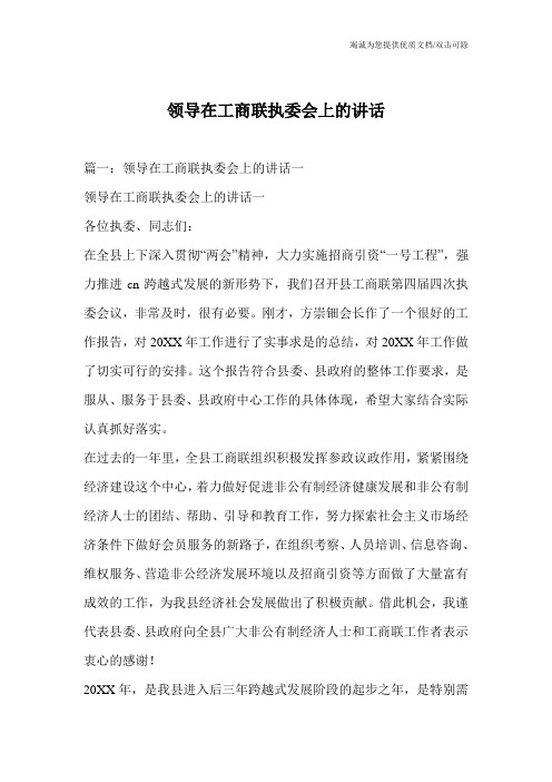 领导在工商联执委会上的讲话