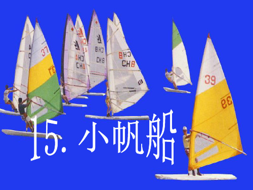 六年级下册科学小帆船青岛版