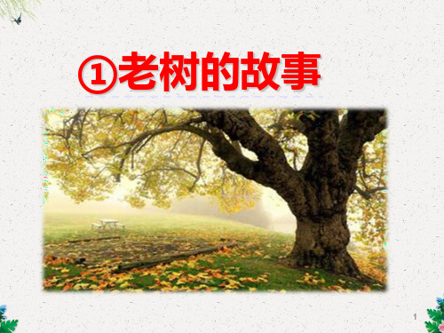 一年级下册语文课件-4.1 老树的故事｜北师大版 (共26张PPT)