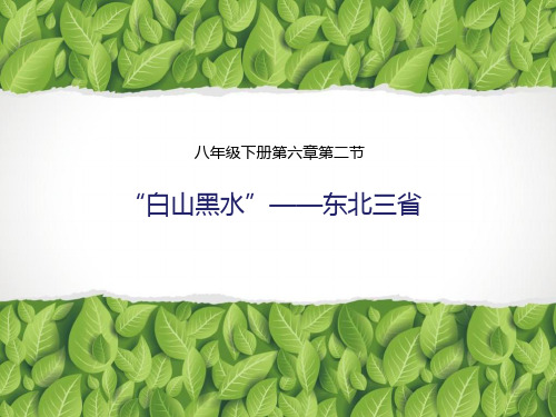 人教版鲁教版初中地理中考复习《东北三省》复习课件