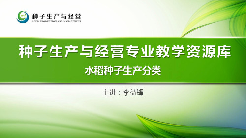 17-水稻种子生产分类
