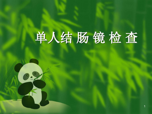 单人结肠镜检查PPT课件