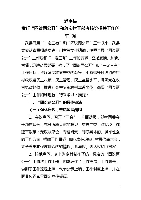 “四议两公开”工作总结