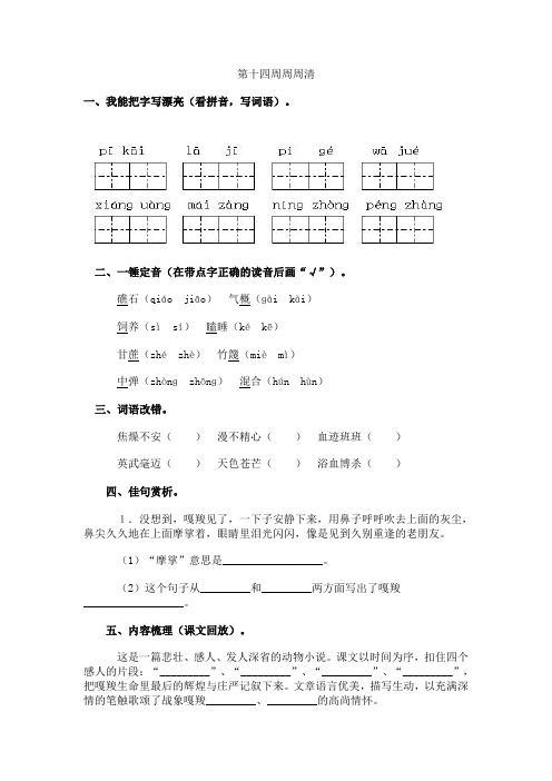 六年级上册语文周周清