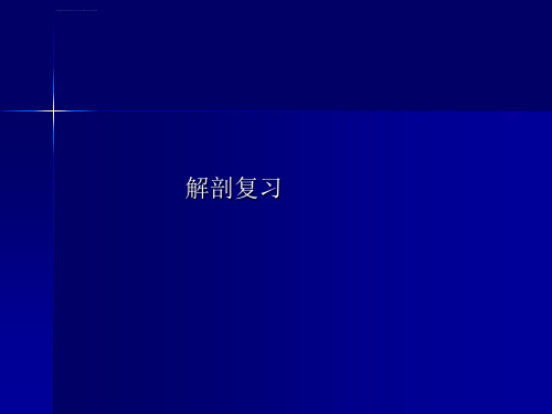 桡骨远端骨折讲座ppt课件