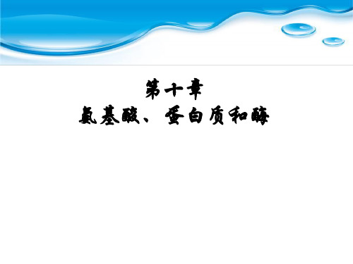 氨基酸-蛋白质和酶