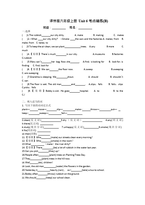 译林版六年级上册 Unit 6考点精练(B)
