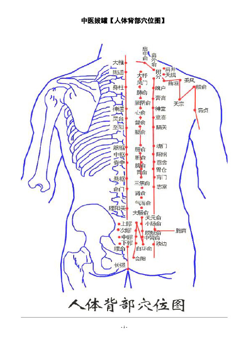 拔火罐_人体背部穴位图_中医疗法主病症和选穴