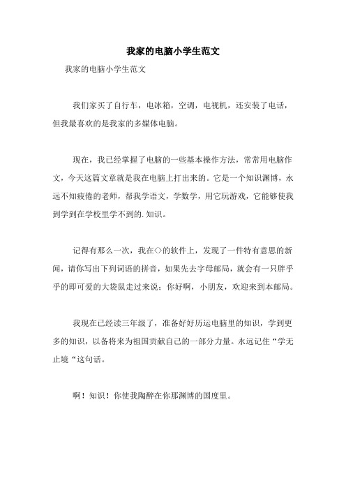我家的电脑小学生范文