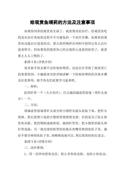 给观赏鱼喂药的方法及注意事项