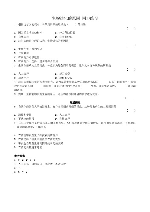 八年级生物新人教版生物进化的原因 同步练习